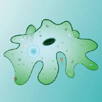 cell, cellular, green, slime, smudge Designua - Dreamstime