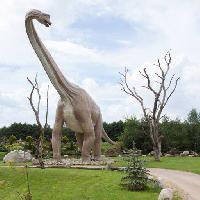 Pixwords The image with dinosaur, park, tree, tress, animal Caesarone