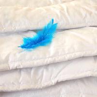 Pixwords The image with feather, blue, pillows Julija Sapic (Yulia)