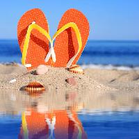 Pixwords The image with sandals, shoe, shoes, beach, shell, shells, water, sand Fantasista