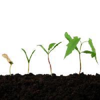 Pixwords The image with earth, land, plant, nature, mud, grow Photka - Dreamstime