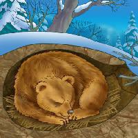 Pixwords The image with bear, winter, sleep, cold, nature Alexander Kukushkin - Dreamstime