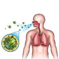 Pixwords The image with man, body, lungs, air, breah, nose, bacteria Andreus - Dreamstime