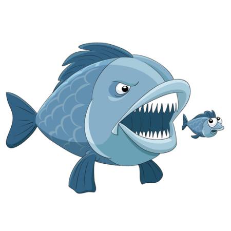 fish, sea, eat Dedmazay - Dreamstime fish, sea, eat Dedmazay - Dreamstime