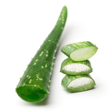 plant, half, cut, green Anna Sedneva - Dreamstime plant, half, cut, green Anna Sedneva - Dreamstime