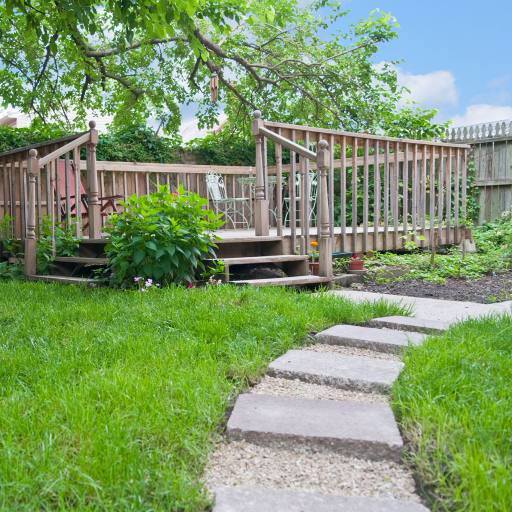 garden, terrace, green, flowers, plants, trees Anne Kitzman (Annieannie)