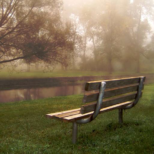 bench, forest, river, water, grass, fog Gary Lewis (Paul_lewis)