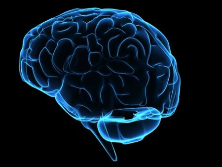 head, man, woman, think, brains Sebastian Kaulitzki - Dreamstime head, man, woman, think, brains Sebastian Kaulitzki - Dreamstime
