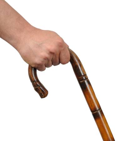 hand, stick, cane Andrzej Tokarski - Dreamstime