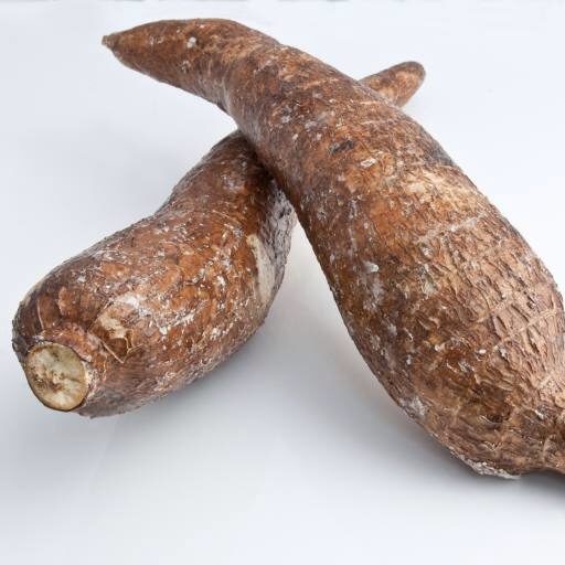 food, eat, vegetable, root Slallison food, eat, vegetable, root Slallison