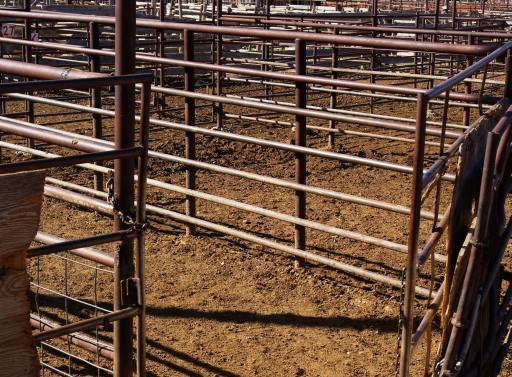 stable, animal, animals, empty, bars, fence Andrew Orlemann (Aorlemann)