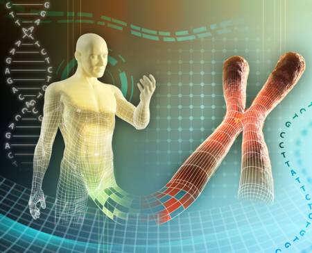 man, body, adn Andreus - Dreamstime man, body, adn Andreus - Dreamstime