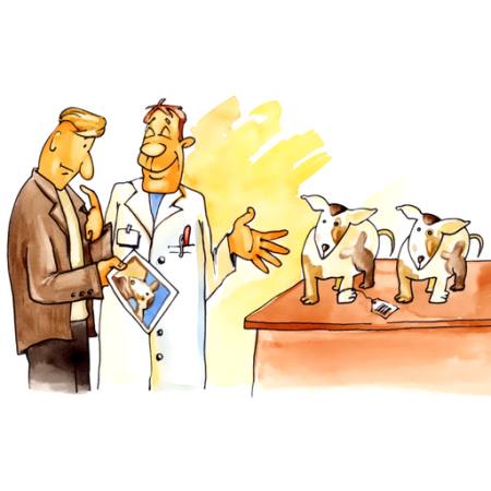 two, men, doctor, dogs, lab Igor Zakowski - Dreamstime