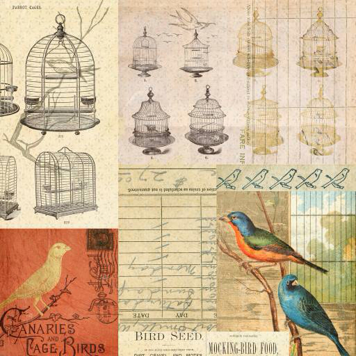 cage, bird, birds, drawing Jodielee cage, bird, birds, drawing Jodielee