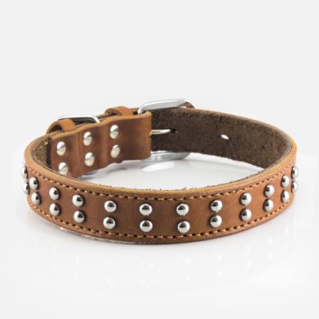 leash, animal, leather Easton Chen - Dreamstime leash, animal, leather Easton Chen - Dreamstime