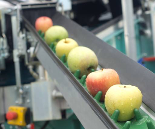 apples, food, machine, factory Jevtic