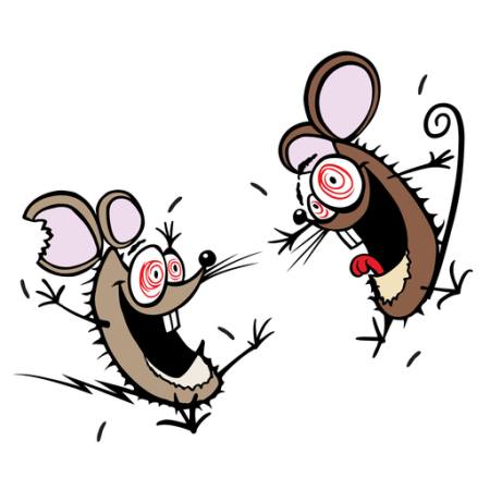 mouse, mice, insane, happy, two Donald Purcell - Dreamstime