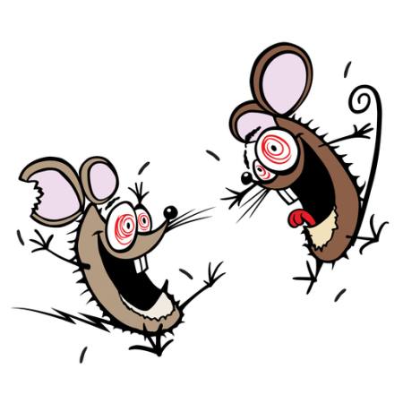 mouse, mice, insane, happy, two Donald Purcell - Dreamstime mouse, mice, insane, happy, two Donald Purcell - Dreamstime