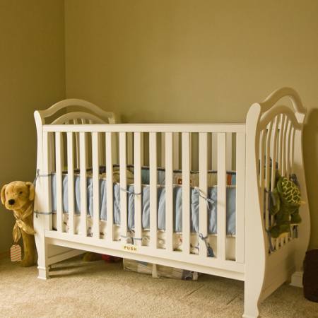 bed, baby, small, dog Darryl Brooks - Dreamstime