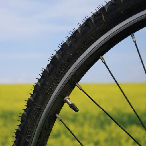 bike, wheel, green, grass, field, nature Leonidtit