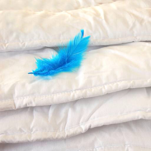 feather, blue, pillows Julija Sapic (Yulia)