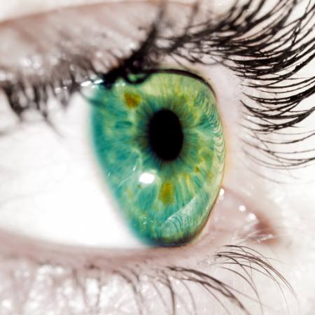 green, eyelids, eye Goran Turina - Dreamstime