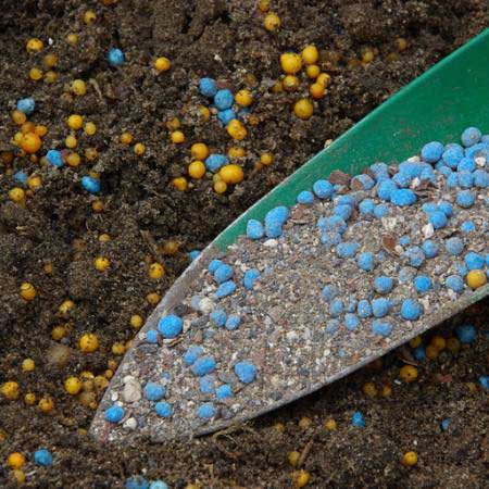 land, beeds, shovel Lianem - Dreamstime land, beeds, shovel Lianem - Dreamstime