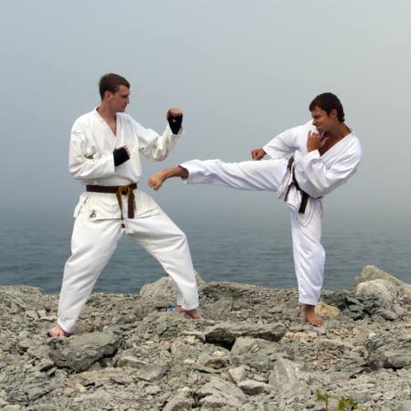 fighters, karate, men, rocks, cliff, sea, water Dmitri Maruta - Dreamstime