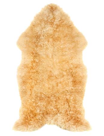 animal, skin, bear, heat Iurii Brukvach - Dreamstime animal, skin, bear, heat Iurii Brukvach - Dreamstime