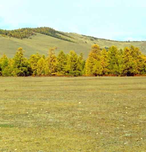 nature, landscape, mountain, mountains, tree, trees Aask