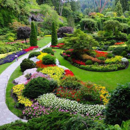 garden, flowers, colors, green Photo168 - Dreamstime