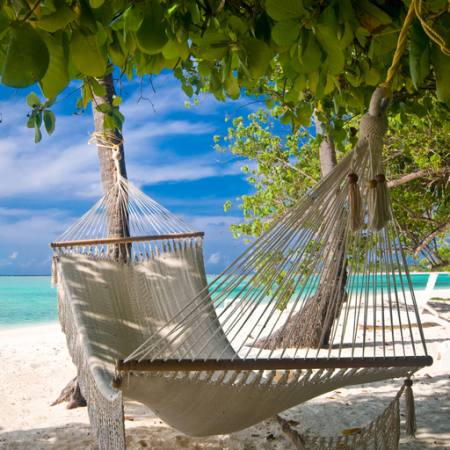 beaxch, resort, bed, relax, trees, water, sea Micha Rosenwirth - Dreamstime