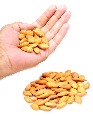 seed, seeds, hand Picstudio - Dreamstime seed, seeds, hand Picstudio - Dreamstime