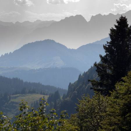 nature, trees, landscape, mountains Buurserstraat386 - Dreamstime nature, trees, landscape, mountains Buurserstraat386 - Dreamstime