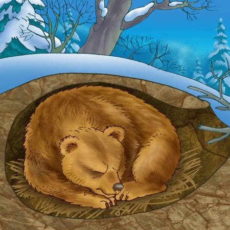 bear, winter, sleep, cold, nature Alexander Kukushkin - Dreamstime