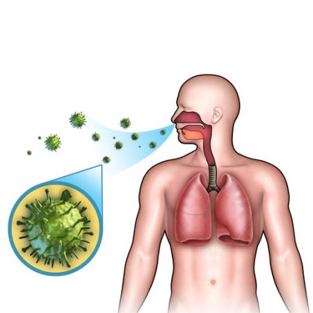 man, body, lungs, air, breah, nose, bacteria Andreus - Dreamstime