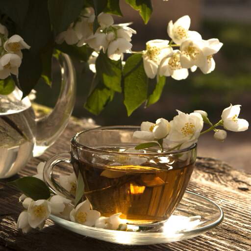 cup, tea, flower, flowers, drink Lilun