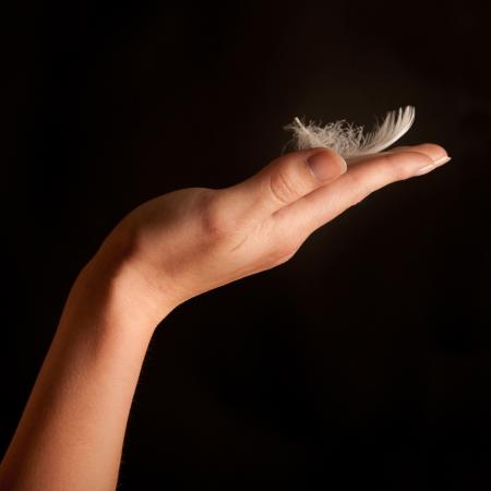 feather, hand, black Jochen Schönfeld - Dreamstime