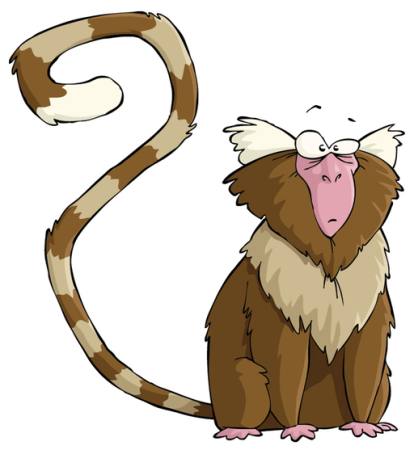 monkey, animal, tail, weird, surprised Dedmazay - Dreamstime monkey, animal, tail, weird, surprised Dedmazay - Dreamstime