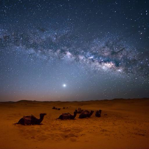 sky, night, , desert, camels, stars, moon Valentin Armianu (Asterixvs)