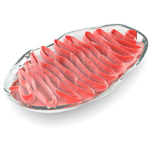 cell, cellular, red, meat, gelly, bacteria Vampy1 cell, cellular, red, meat, gelly, bacteria Vampy1