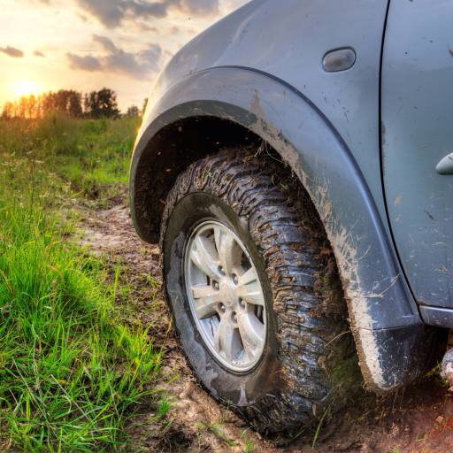 tire, car, mud, auto, grass, off road, sun, dirt Snezhok
