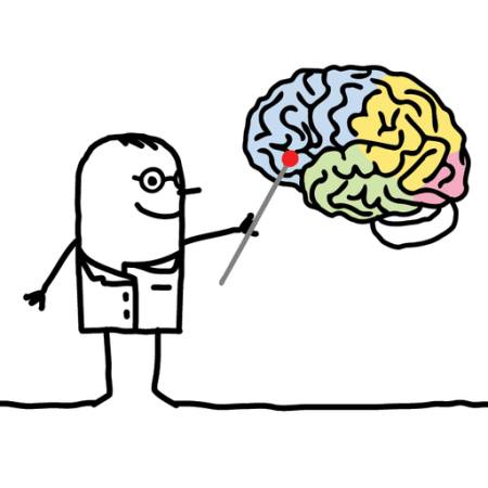 brain, doctor, pointer N.l - Dreamstime brain, doctor, pointer N.l - Dreamstime