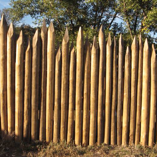 spikes, spike, sharp, wood, forest, fence Nataliia Dvukhimenna (Natasha0288)