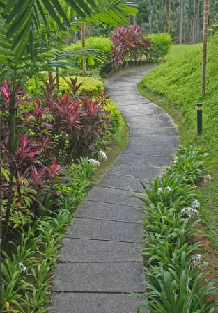 garden, flowers, walk, path, way Summersea - Dreamstime