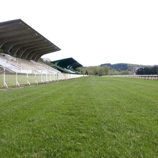 field, green, grass, stadium, arena Nanisub