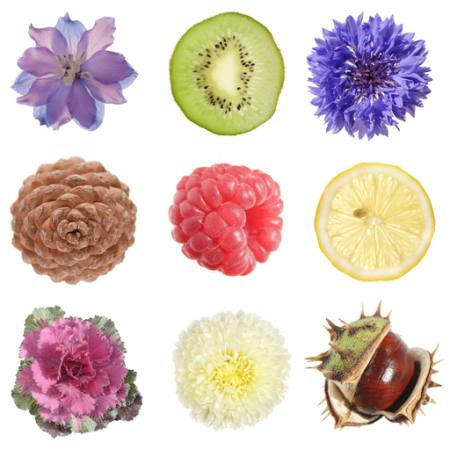fruits, round, lemon, kiwi, raspberry, blueberry Tamara Kulikova - Dreamstime fruits, round, lemon, kiwi, raspberry, blueberry Tamara Kulikova - Dreamstime