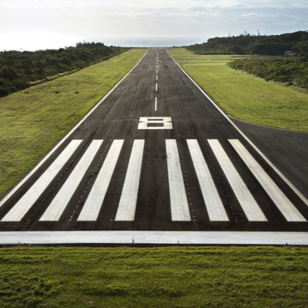 eight, road, zebra, green, land Ron Chapple - Dreamstime