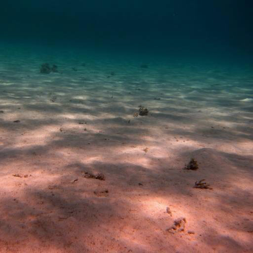 sea, sea floor, water, light, rays, sand Thomas Eder (Thomaseder)