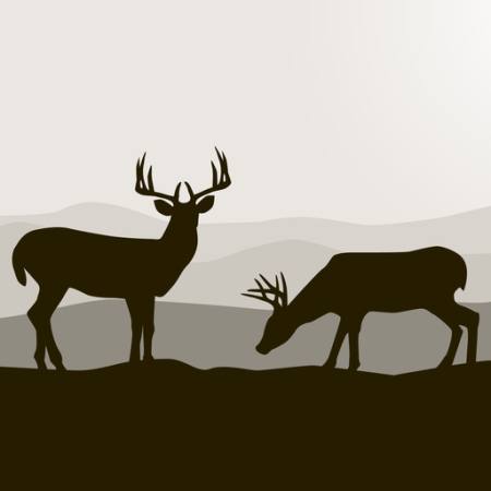 deer, deers, black, landscape, animals, animal Dagadu - Dreamstime